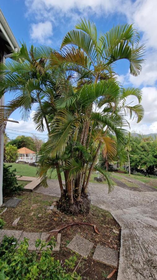 Le Debarcadere Apartamento Sainte-Anne Exterior foto